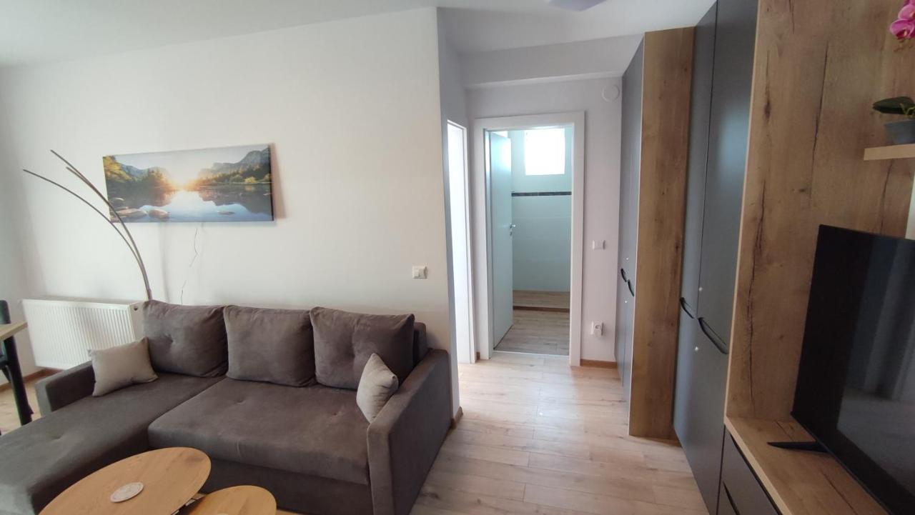 Apartment Joerg Sibiu Bagian luar foto