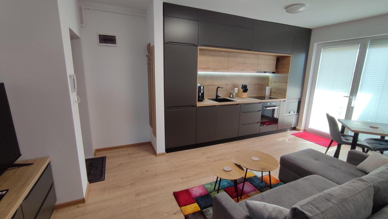 Apartment Joerg Sibiu Bagian luar foto